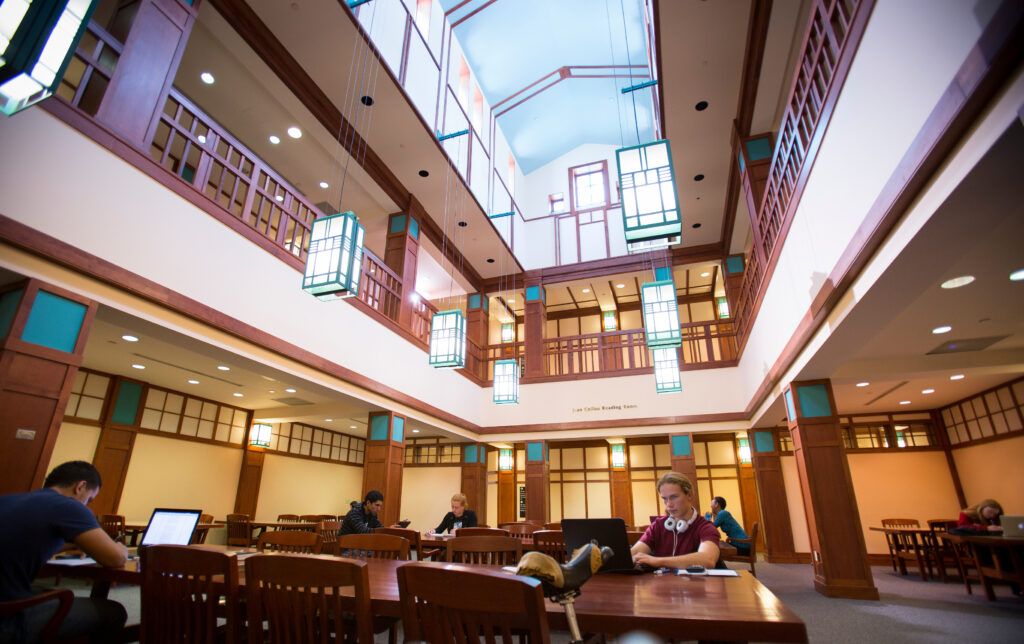 Students study in the Cline Library's quiet study area. 