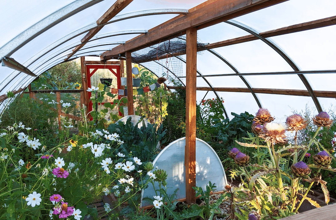 Greenhouse garden