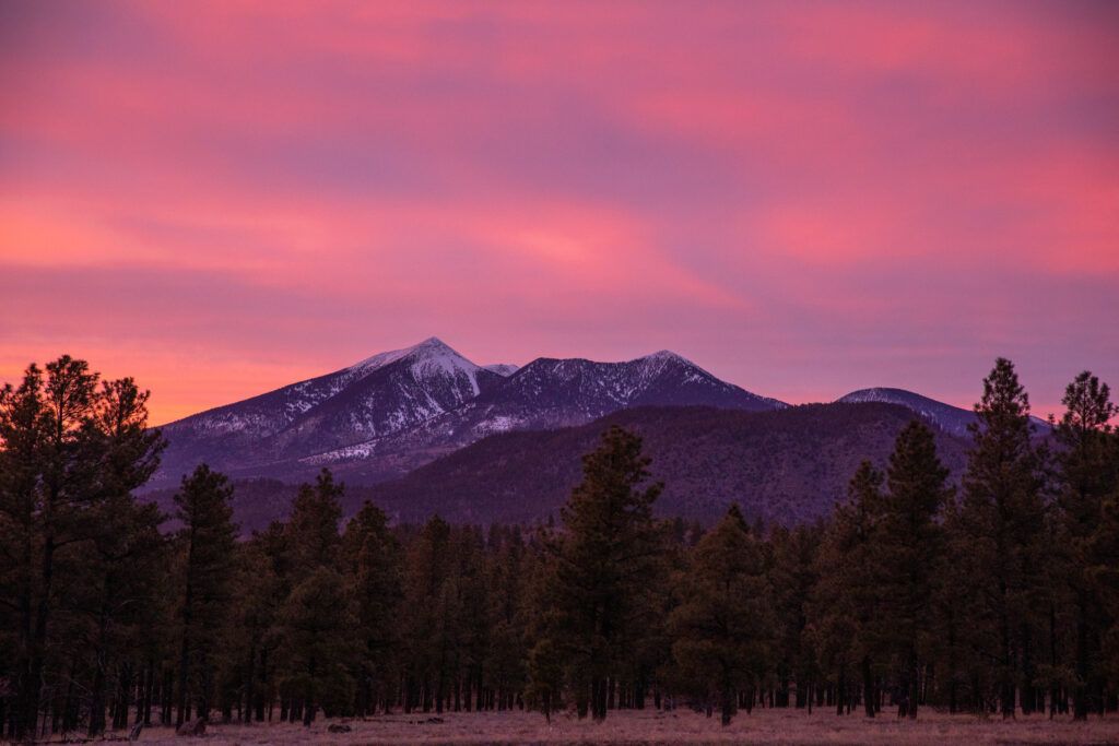 The snow capped San Fransico peaks with a sunset in the background and trees in the foreground.
